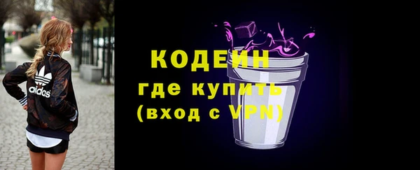 амф Гусиноозёрск