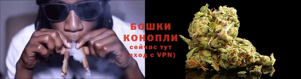 амф Гусиноозёрск