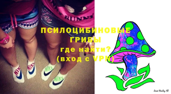 амф Гусиноозёрск